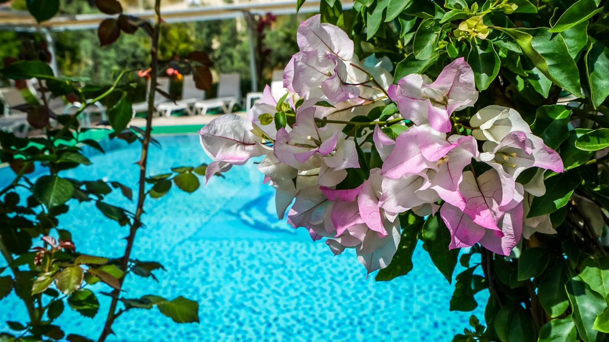 Catty Cats Garden Hotel Сиде Екстериор снимка